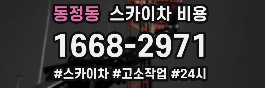 동정동 스카이차 비용