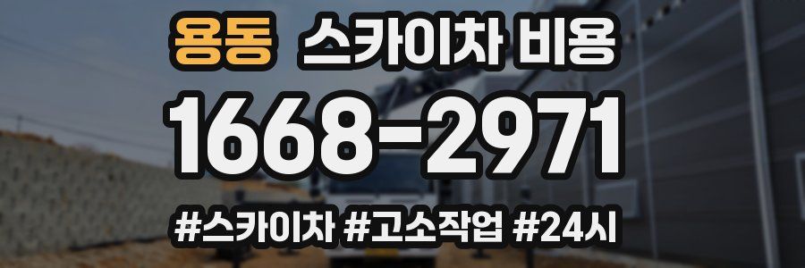 용동 스카이차 비용