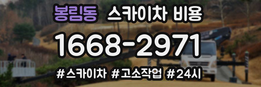 봉림동 스카이차 비용