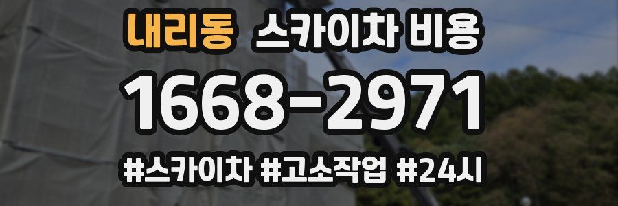 내리동 스카이차 비용