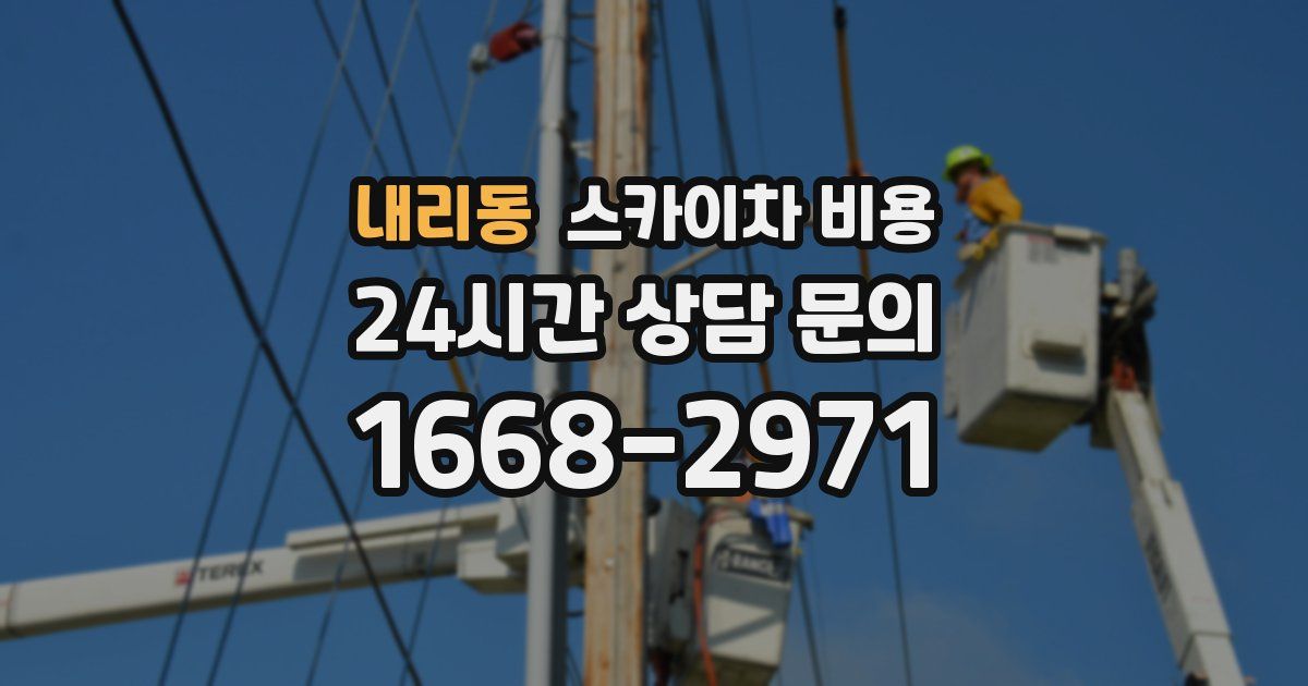 내리동 스카이차 비용