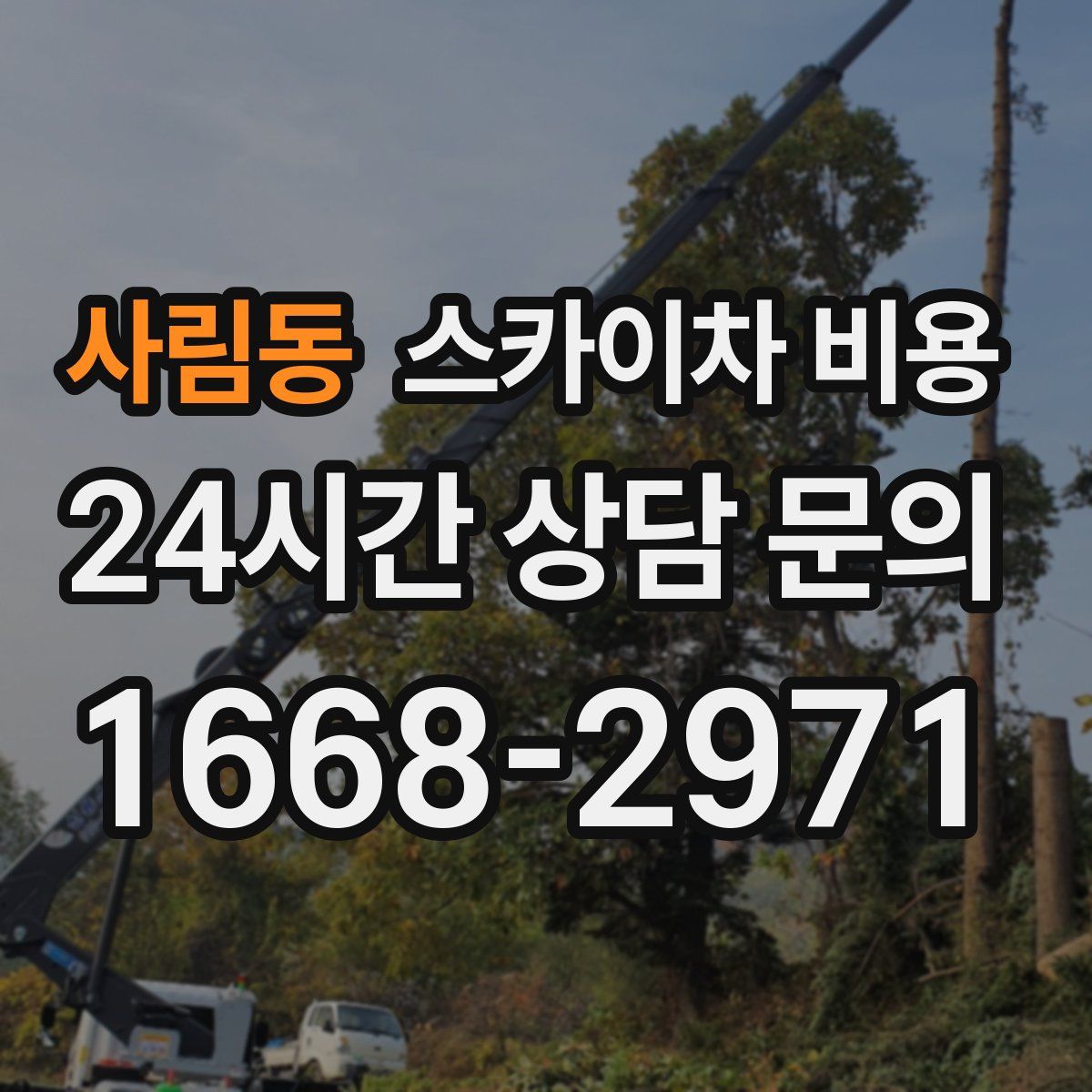 사림동 스카이차 비용