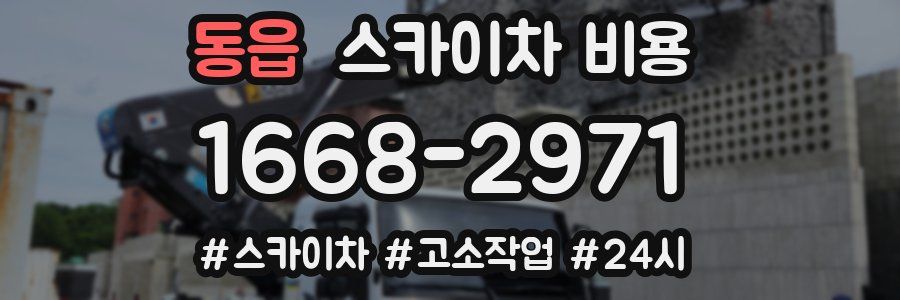 동읍 스카이차 비용