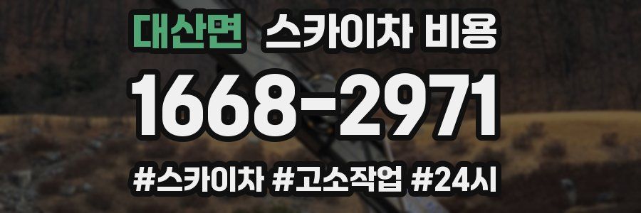 대산면 스카이차 비용