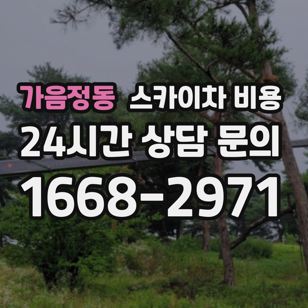 가음정동 스카이차 비용