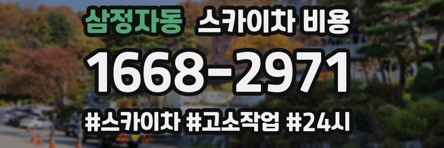 삼정자동 스카이차 비용