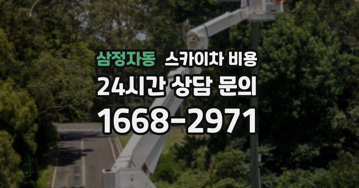 삼정자동 스카이차 비용