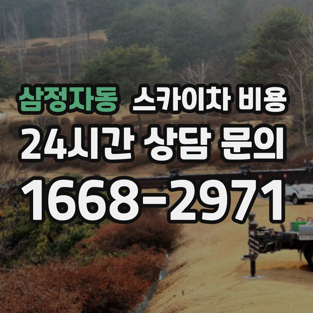 삼정자동 스카이차 비용