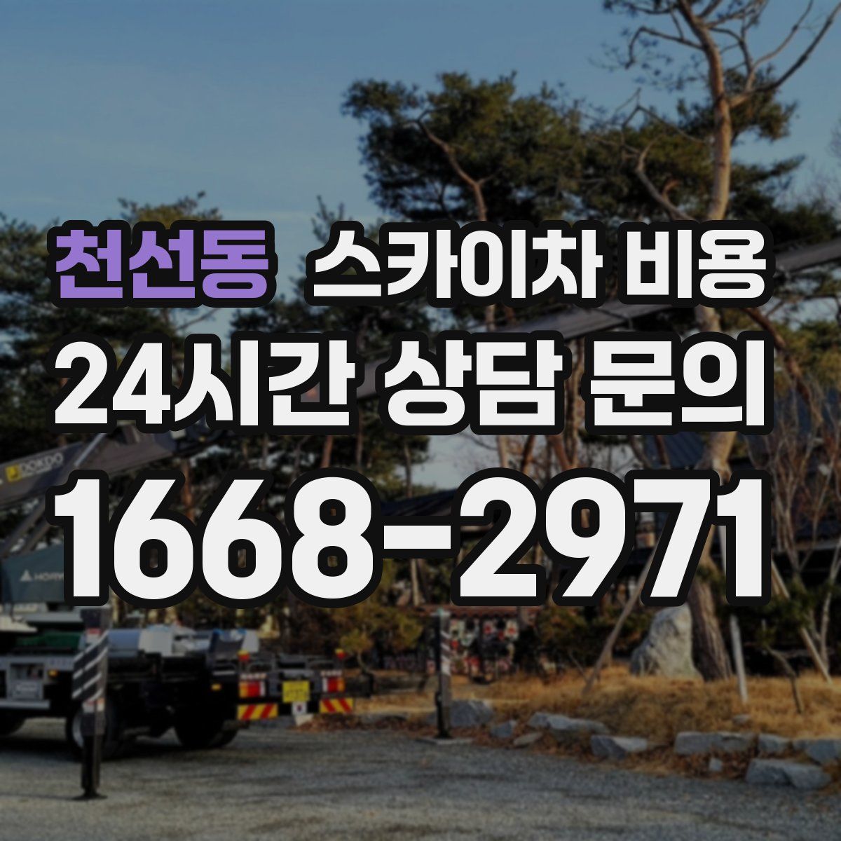 천선동 스카이차 비용