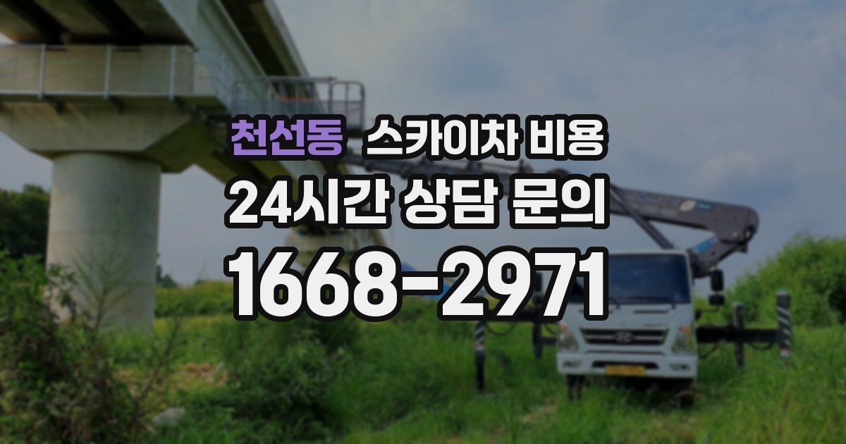 천선동 스카이차 비용