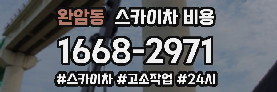 완암동 스카이차 비용