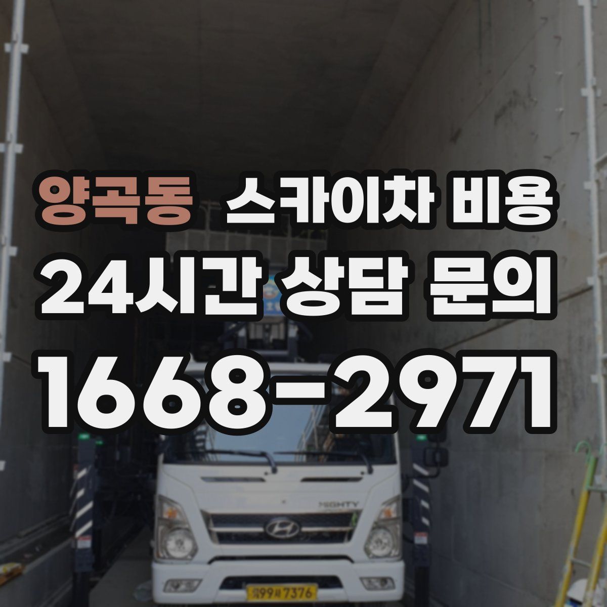 양곡동 스카이차 비용