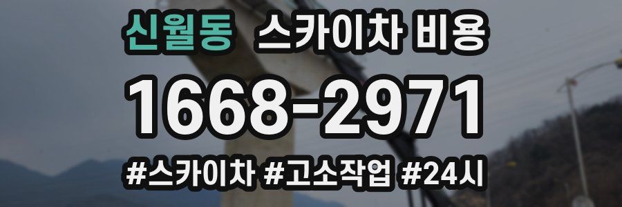 신월동 스카이차 비용