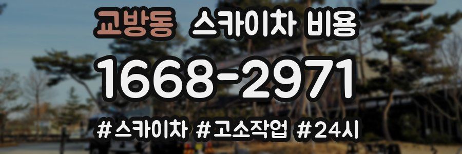 교방동 스카이차 비용