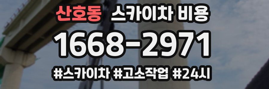 산호동 스카이차 비용