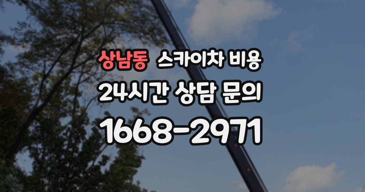 상남동 스카이차 비용