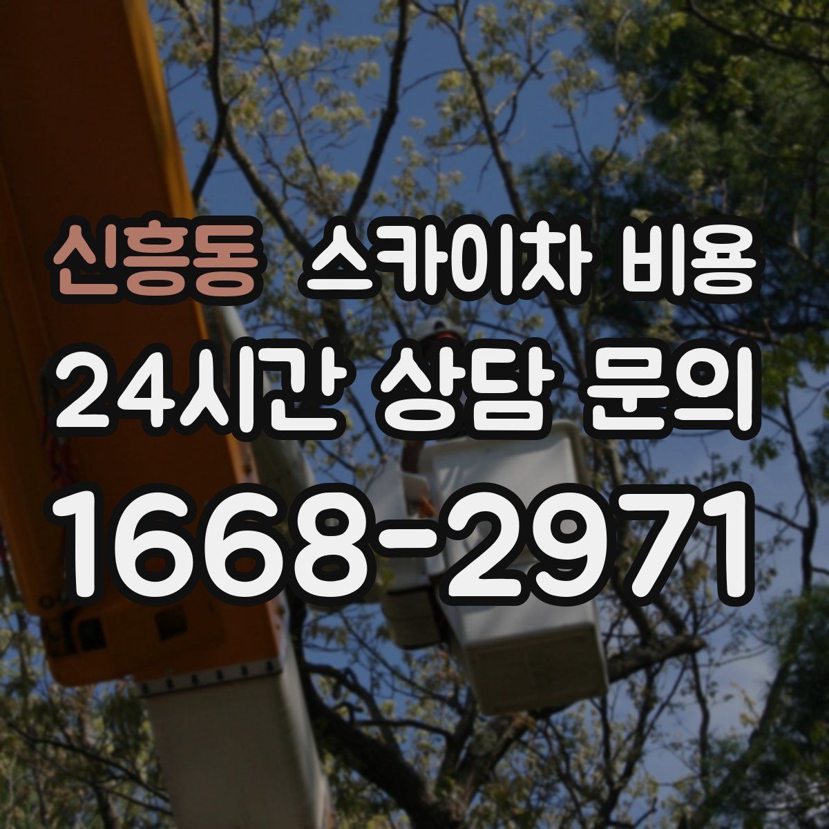 신흥동 스카이차 비용