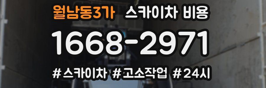 월남동3가 스카이차 비용