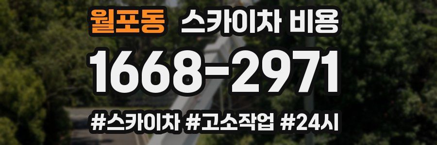 월포동 스카이차 비용