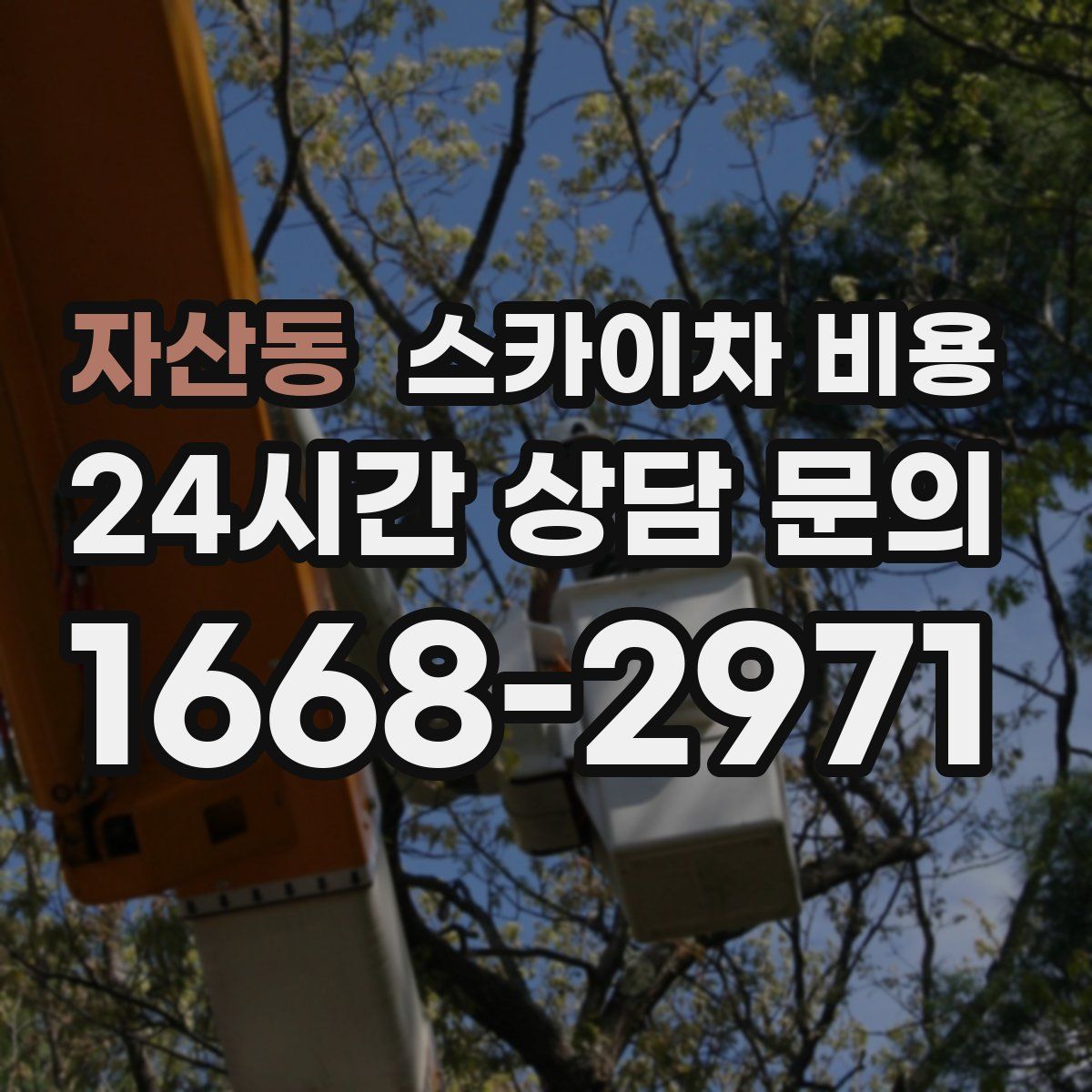 자산동 스카이차 비용