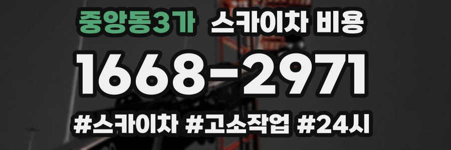 중앙동3가 스카이차 비용