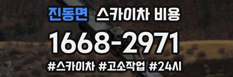 진동면 스카이차 비용