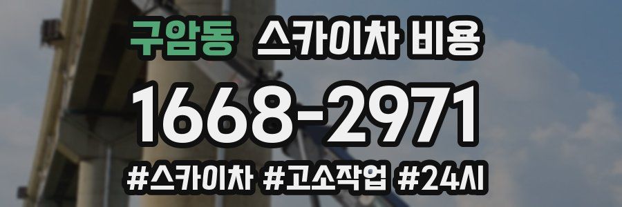 구암동 스카이차 비용