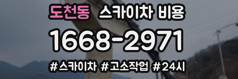 도천동 스카이차 비용