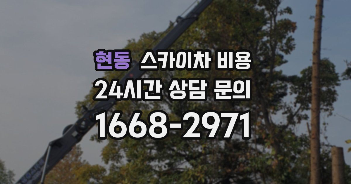 현동 스카이차 비용