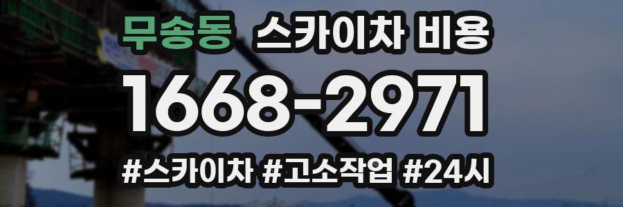 무송동 스카이차 비용