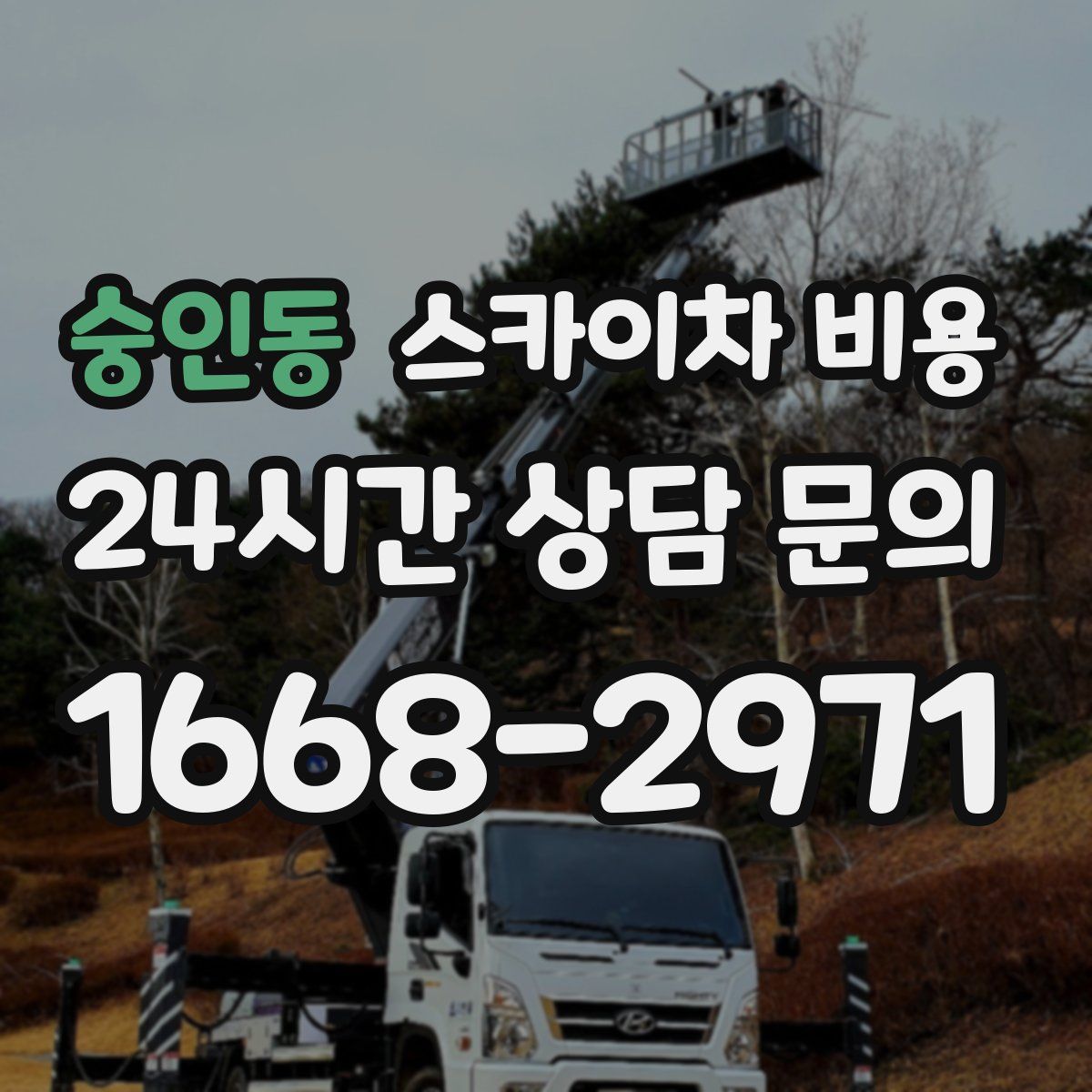 숭인동 스카이차 비용