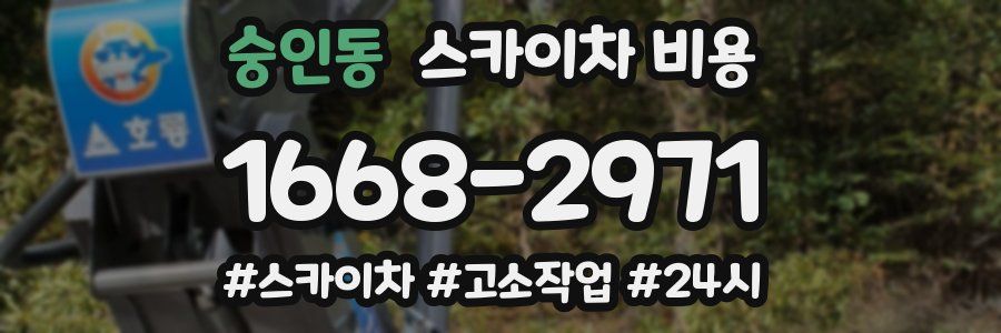 숭인동 스카이차 비용