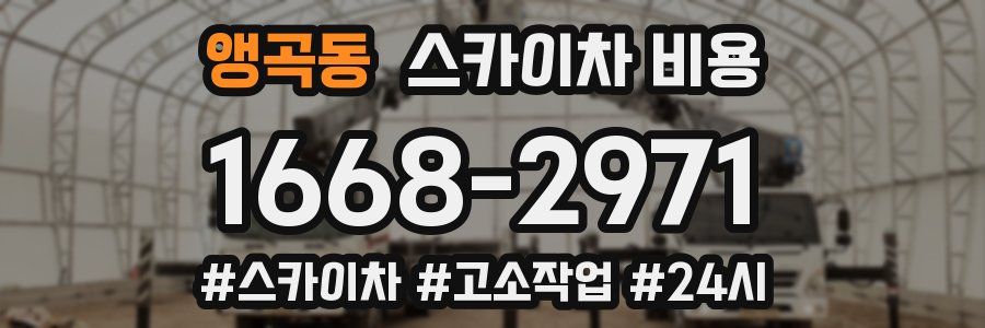 앵곡동 스카이차 비용