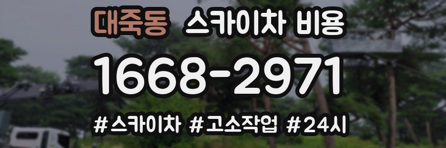 대죽동 스카이차 비용