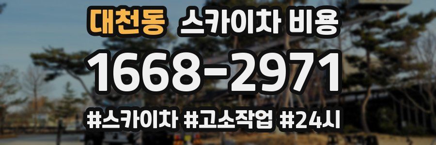대천동 스카이차 비용