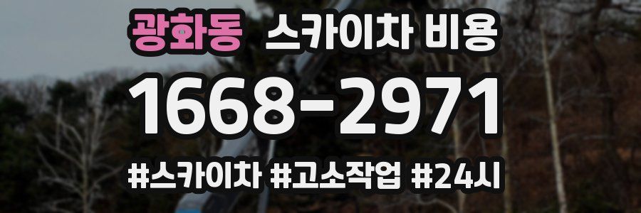 광화동 스카이차 비용