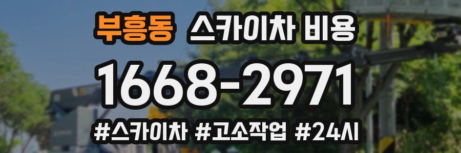 부흥동 스카이차 비용