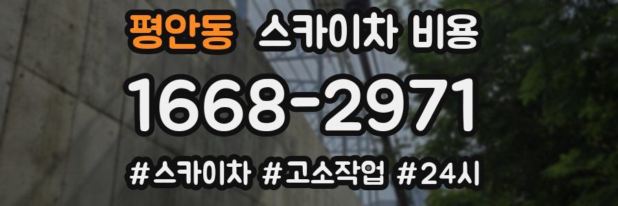 평안동 스카이차 비용