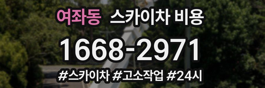 여좌동 스카이차 비용