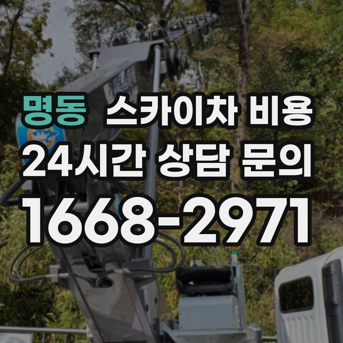 명동 스카이차 비용 상가 밀집 지역은 왜 견적 편차가 클까