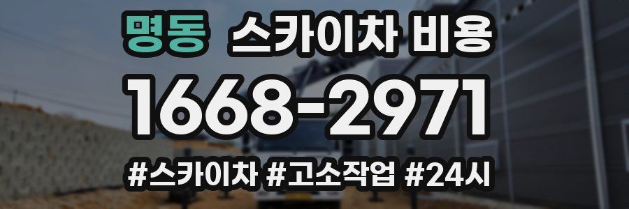 명동 스카이차 비용