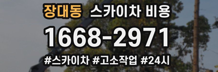 장대동 스카이차 비용