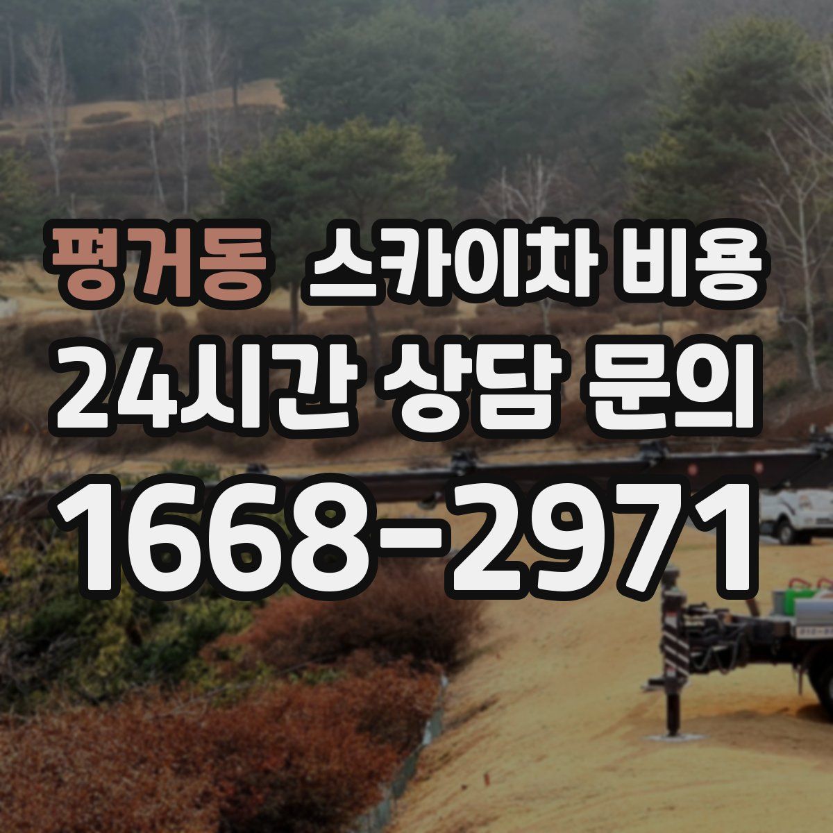 평거동 스카이차 비용