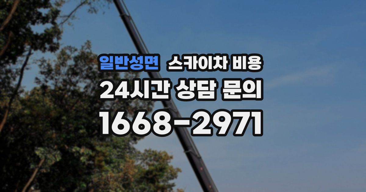 일반성면 스카이차 비용