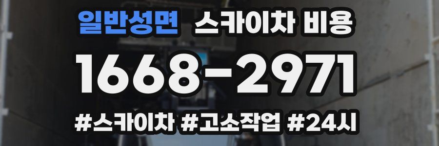 일반성면 스카이차 비용