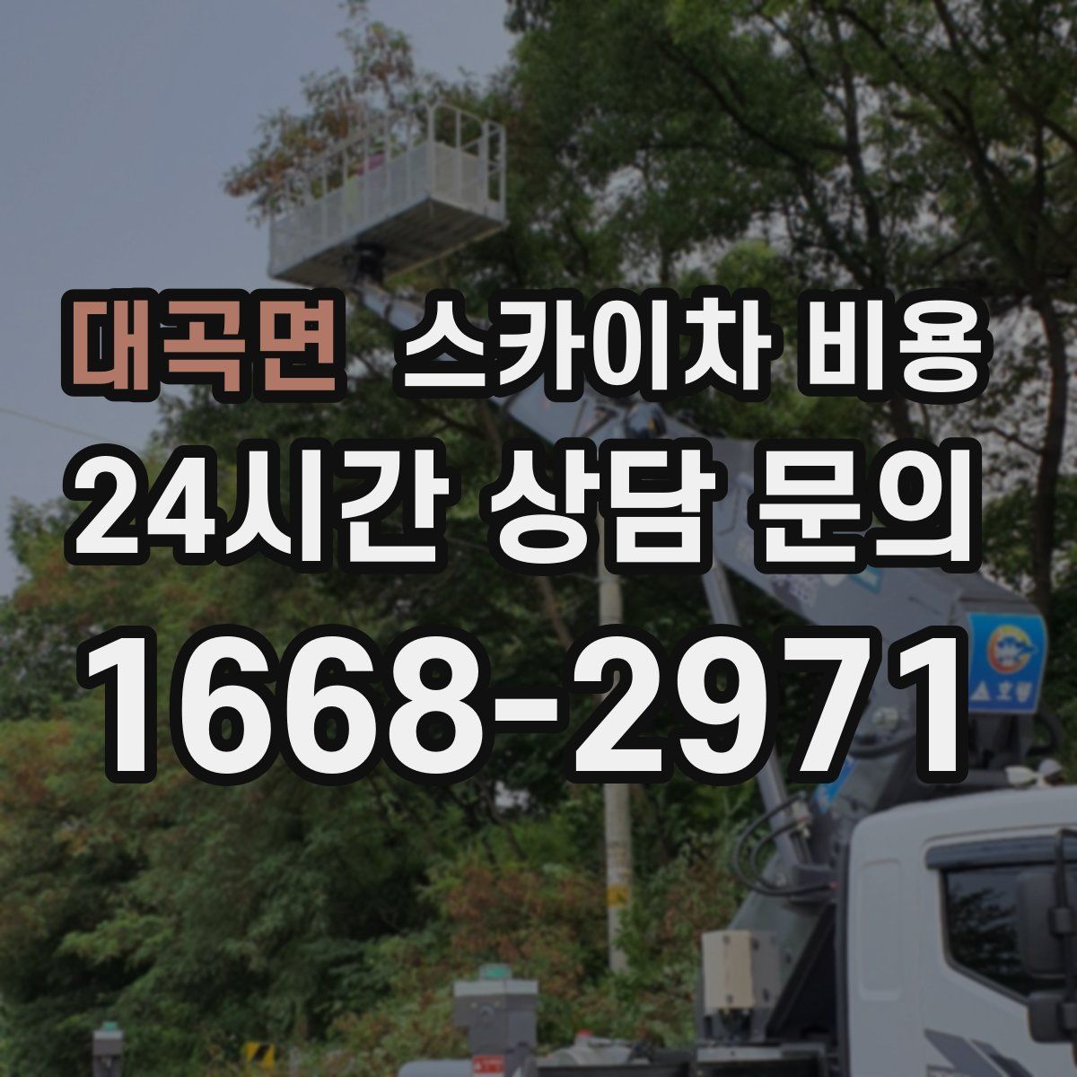 대곡면 스카이차 비용