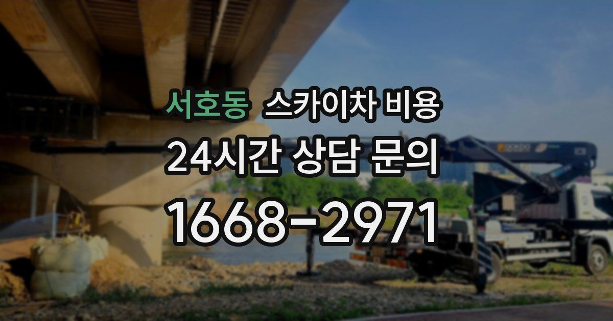 서호동 스카이차 비용