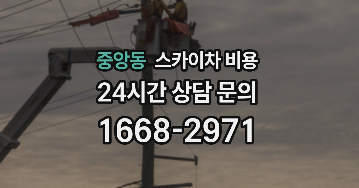 중앙동 스카이차 비용