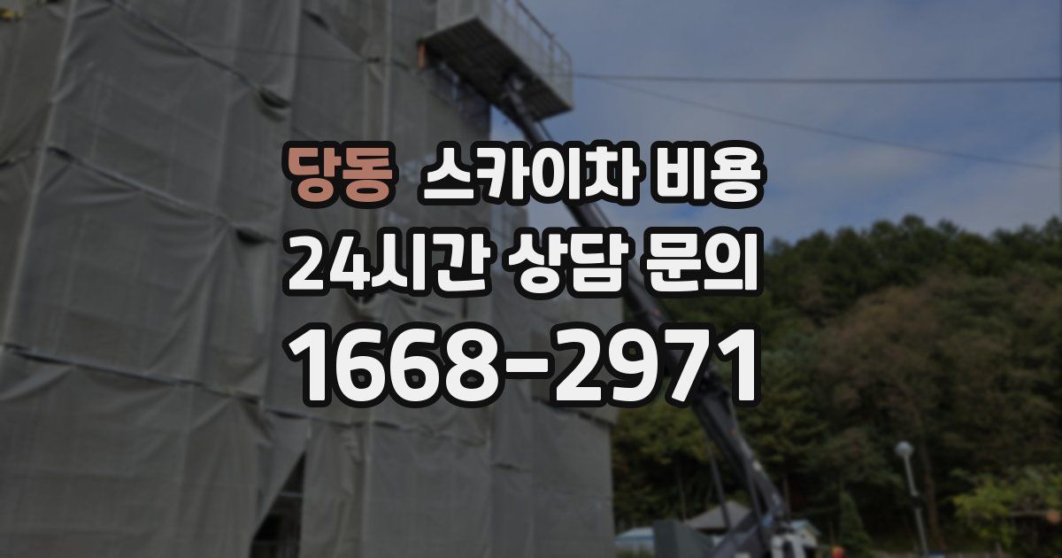 당동 스카이차 비용