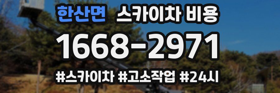 한산면 스카이차 비용